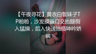 豪歌 NO.001 50度灰