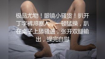 辛尤里粗爆性交征服坏女仆