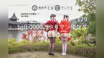 【三级】《正义联盟H版》