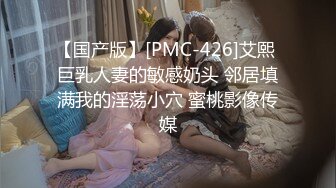 国产AV 蜜桃影像传媒 PMX026 空姐的淫乱秘密 雷梦娜