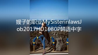 嫂子的职业MySisterinlawsJob2017HD1080P韩语中字