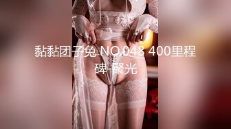 黏黏团子兔 NO.048 400里程碑-聚光