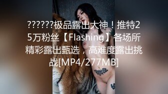 ??????极品露出大神！推特25万粉丝【Flashing】各场所精彩露出甄选，高难度露出挑战[MP4/277MB]