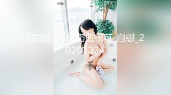 老婆的海豚裤