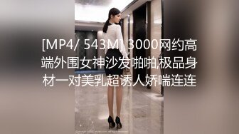 商场女厕全景偷拍高跟大长腿少妇的丰满大肥鲍