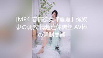 【家庭录像曝光 下集】北京出租屋情侣半夜做爱