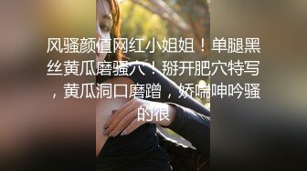 ❤️巅峰女神顶级精盆❤️颜值身材天花板级 在外端庄喜欢温柔女神私下是爸爸的玩物 穷人的女神富人的精盆 被金主各种啪啪蹂躏 (2)