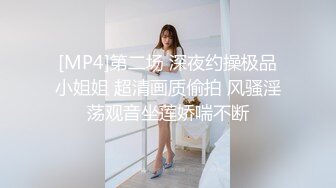 大长腿甜美妹子返场，舌吻蹲着口交上位骑乘猛操.1