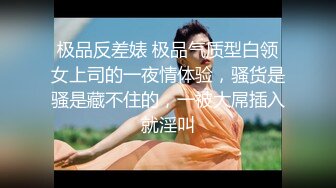 极品反差婊 极品气质型白领女上司的一夜情体验，骚货是骚是藏不住的，一被大屌插入就淫叫