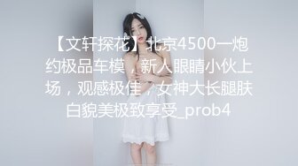 【文轩探花】北京4500一炮约极品车模，新人眼睛小伙上场，观感极佳，女神大长腿肤白貌美极致享受_prob4