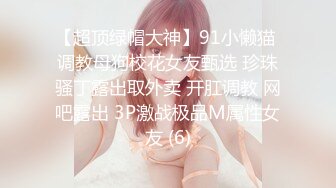 【超顶绿帽大神】91小懒猫 调教母狗校花女友甄选 珍珠骚丁露出取外卖 开肛调教 网吧露出 3P激战极品M属性女友 (6)