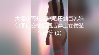 大陸小青蛙之網吧搭訕巨乳妹包間口交情侶酒店穿上女僕裝狂肏等 (1)