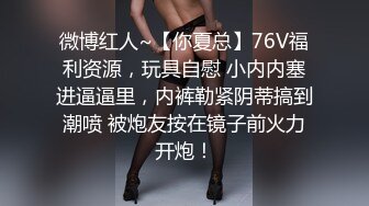 微博红人~【你夏总】76V福利资源，玩具自慰 小内内塞进逼逼里，内裤勒紧阴蒂搞到潮喷 被炮友按在镜子前火力开炮！