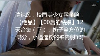 绿帽淫妻骚母狗「ddu_ddu」OF私拍 钟爱3P和吞精【第二弹】 (4)