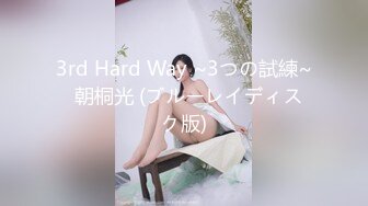 3rd Hard Way ~3つの試練~  朝桐光 (ブルーレイディスク版)