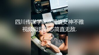 半半子 - 碧蓝航线兴登堡兔女郎 微醺胜负