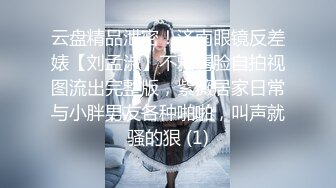 人生赢家推特大神【海盗船长】付费私拍第二弹，九头身极品外围女神3P4P5P美如画爽翻了