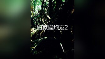 如家操炮友2