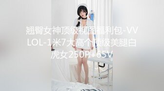 翘臀女神顶级视图福利包-VVLOL-1米7大高个顶级美腿白虎女250P+65V