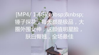 [MP4/ 1.4G]&nbsp;&nbsp;锤子探花，每天都是极品，大圈外围女神，这颜值明星脸，肤白臀翘，全场最佳