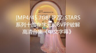 [MP4/45.7GB] IPZZ-STARS系列十部中字无码BVPP破解高清合集《中文字幕》