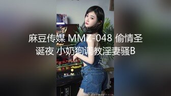 麻豆传媒 MMZ-048 偷情圣诞夜 小奶狗调教淫妻骚B