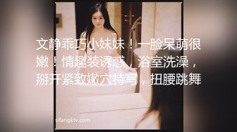 [MP4/5.7G]PUA達人｜肌肉狗｜合輯 Ⅰ 豐臀巨乳母狗道具自慰色誘主人暴肏內射 兩騷婦穿性感黑絲撅臀靜候真假雞巴插穴等 13V