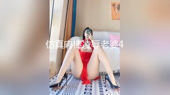 仿真肉棒凌辱老婆4