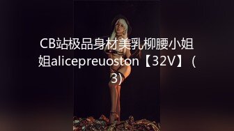 CB站极品身材美乳柳腰小姐姐alicepreuoston【32V】 (3)