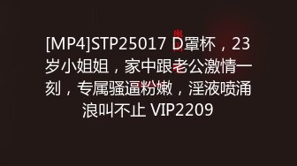 [MP4]STP25017 D罩杯，23岁小姐姐，家中跟老公激情一刻，专属骚逼粉嫩，淫液喷涌浪叫不止 VIP2209