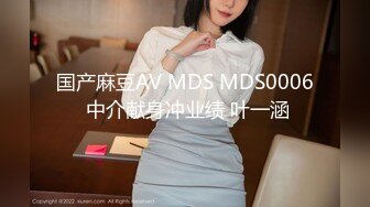 国产麻豆AV MDS MDS0006 中介献身冲业绩 叶一涵