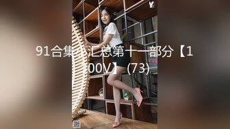 91合集小汇总第十一部分【1300V】 (73)