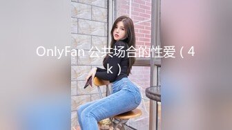 OnlyFan 公共场合的性爱（4k）