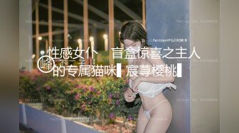 ✿性感女仆✿ 盲盒惊喜之主人的专属猫咪▌宸荨樱桃▌