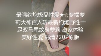 摩擦肥鲍的黑蝴蝶