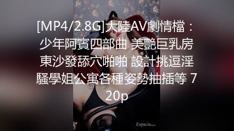 [MP4/2.8G]大陸AV劇情檔：少年阿賓四部曲 美艷巨乳房東沙發舔穴啪啪 設計挑逗淫騷學姐公寓各種姿勢抽插等 720p