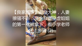 商务模特系列之蓝衣女孩