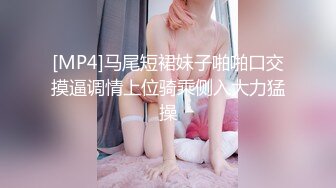 91ZCM-009 李蓉蓉 速度与激情 尽情抽插好友的性感老婆 91制片厂