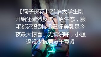 【狗子探花】21岁大学生刚开始还激烈反抗，原生态，腋毛都还没刮，D罩杯美乳是今夜最大惊喜，无套啪啪，小骚逼没少被男友干真紧