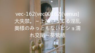 vec-162(vec00162)[venus]大失禁。～上品ぶってる淫乱奥様のみっともないビショ濡れ交尾～葵紫穂