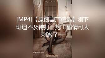 厕所TP气质优雅客房女主管嘘嘘