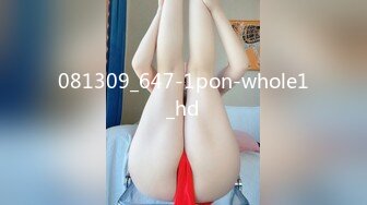 081309_647-1pon-whole1_hd