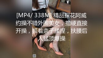 [MP4/ 338M] 精品探花阿威约操不错外围美女，撸硬直接开操，抓着柰子揉捏，扶腰后入猛顶爆操