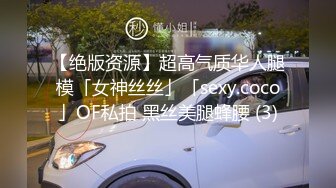 【绝版资源】超高气质华人腿模「女神丝丝」「sexy.coco」OF私拍 黑丝美腿蜂腰 (3)