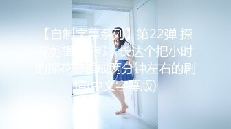 【自制字幕系列】第22弹 探花剪辑版6部，长达个把小时的探花剪辑成两分钟左右的剧情(中文字幕版)