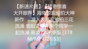 麻豆传媒-贵妇的致富秘诀 男仆干服女主获取秘诀&nbsp;&nbsp;豪乳女神仙儿媛