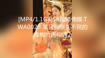 [MP4/1.1GB]SA國際傳媒 TWA0028 某日與很久不見的青梅竹馬相遇2