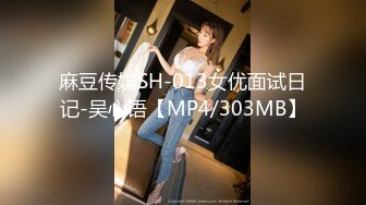 麻豆传媒SH-013女优面试日记-吴心语【MP4/303MB】