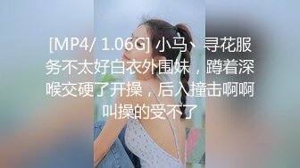 [MP4]173CM长腿骚货&nbsp;&nbsp;带情趣装磨蹭自摸调情&nbsp;&nbsp;69姿势舔逼 大屁股骑乘爆操