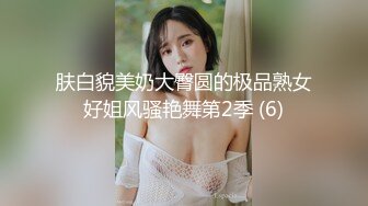 肤白貌美奶大臀圆的极品熟女好姐风骚艳舞第2季 (6)